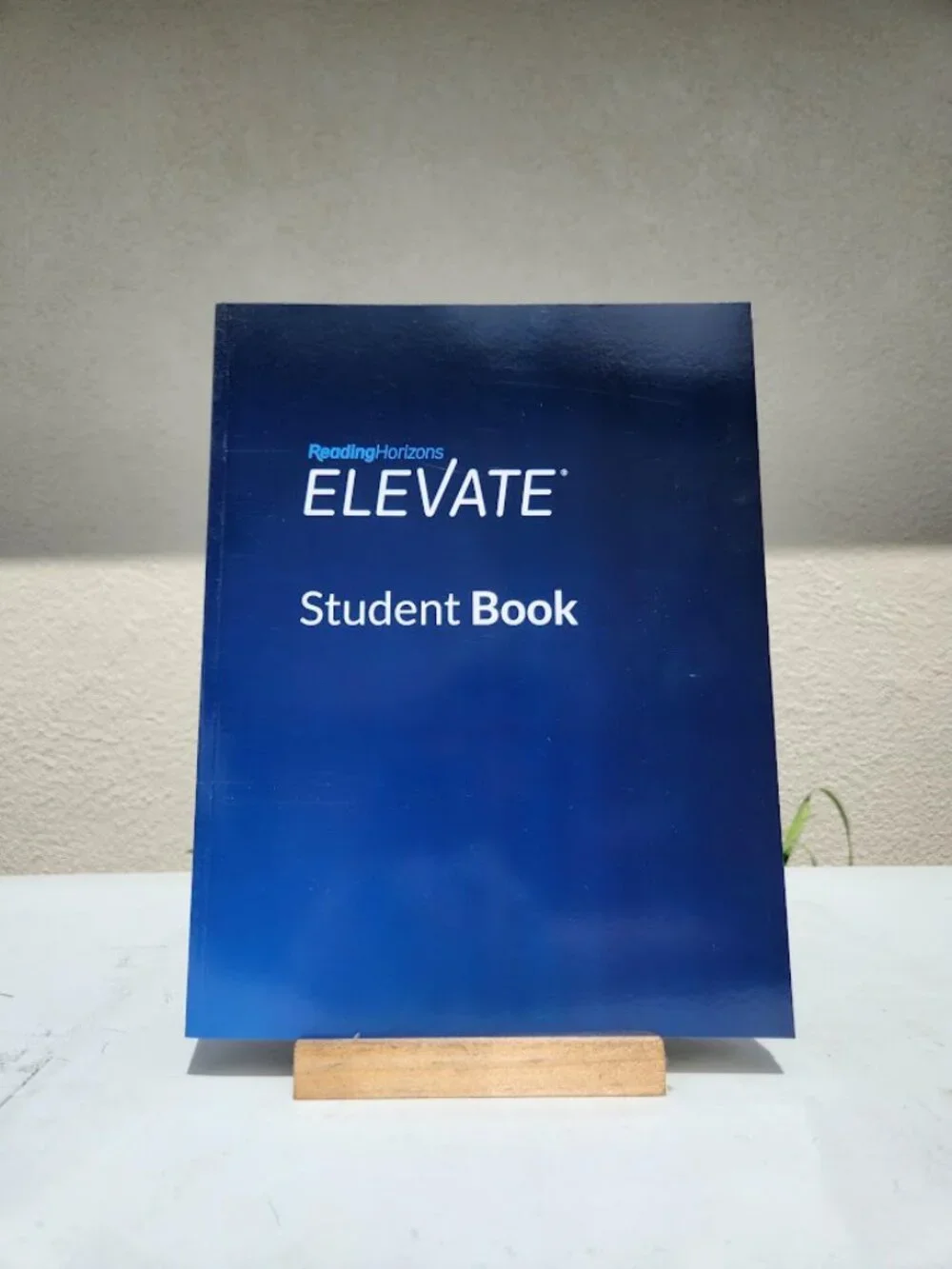 NEW ReadingHorizons Elevate Student Book Workbook Textbook Worktext 4th Edition